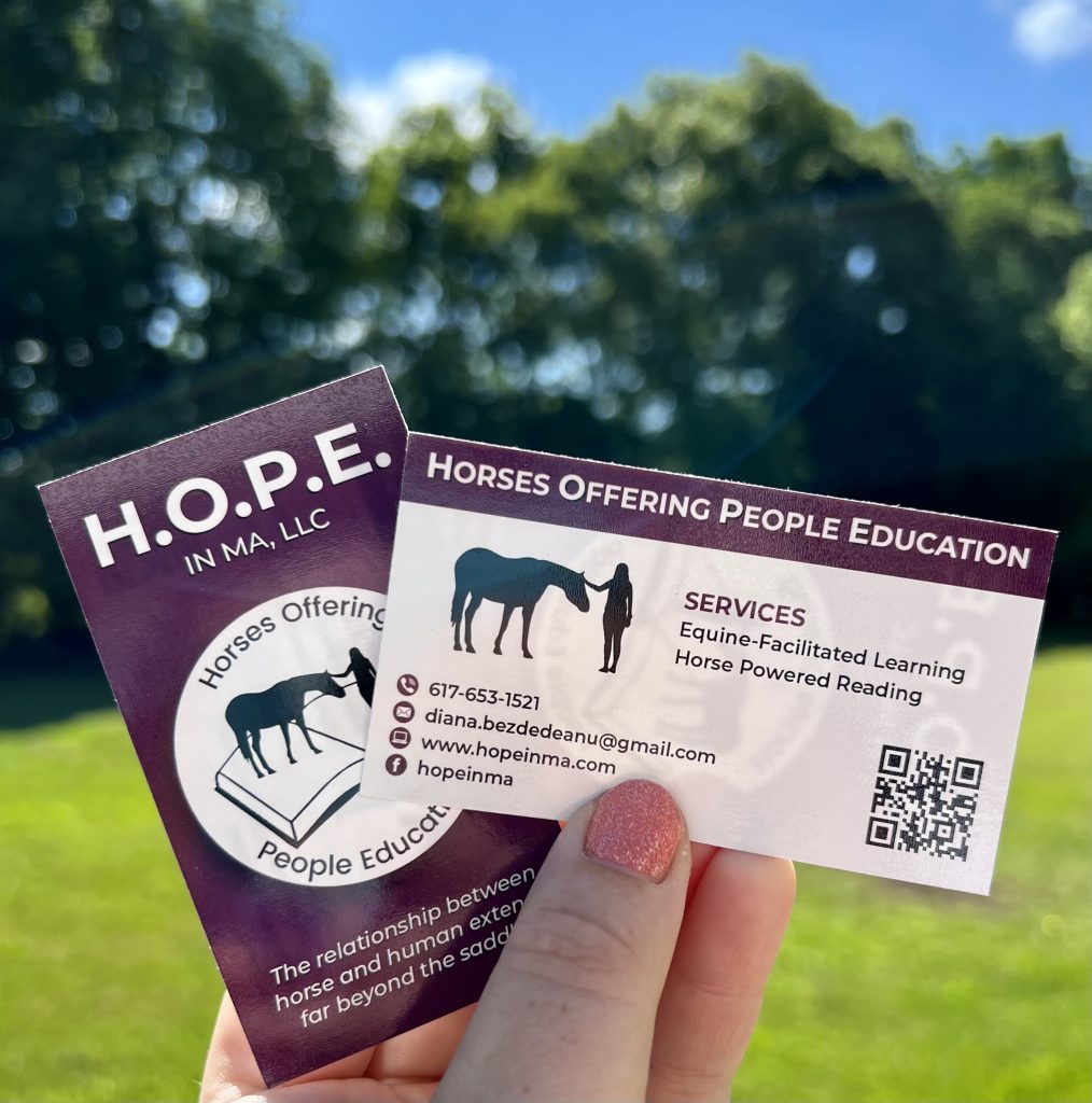 Westwood Living Directory Horses Offering People Education
